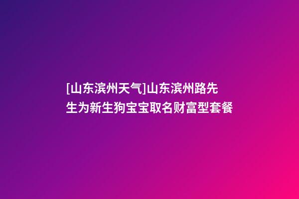 [山东滨州天气]山东滨州路先生为新生狗宝宝取名财富型套餐-第1张-公司起名-玄机派